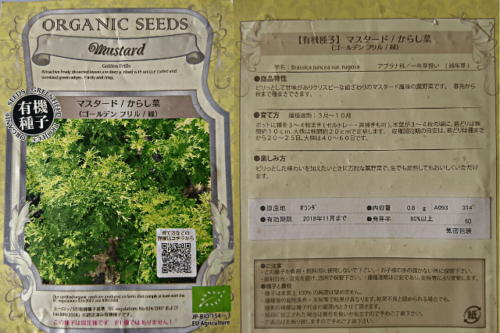 mustard-organic-seeds